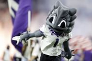 TCU Mascot, Horned Frog